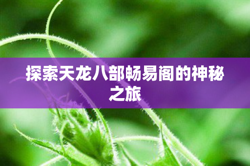 探索天龙八部畅易阁的神秘之旅