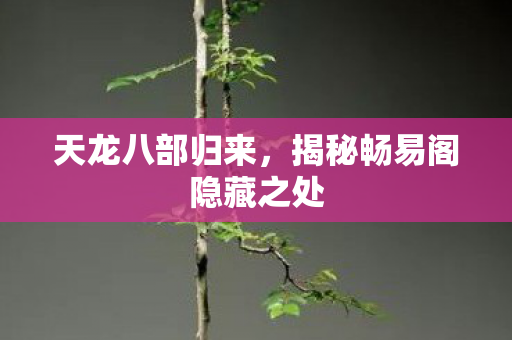 天龙八部归来，揭秘畅易阁隐藏之处