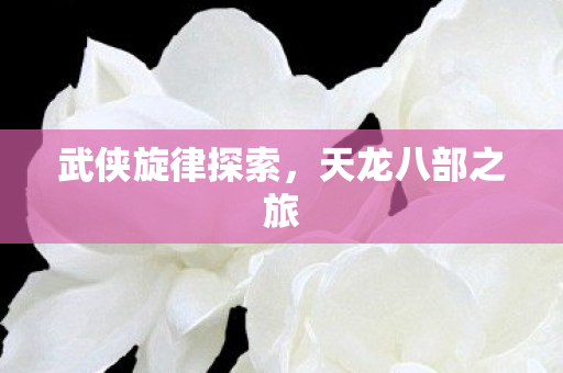 武侠旋律探索，天龙八部之旅