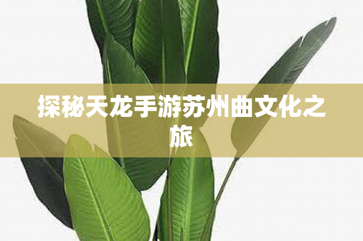 探秘天龙手游苏州曲文化之旅