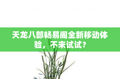 天龙八部畅易阁全新移动体验，不来试试？