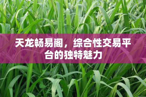 天龙畅易阁，综合性交易平台的独特魅力