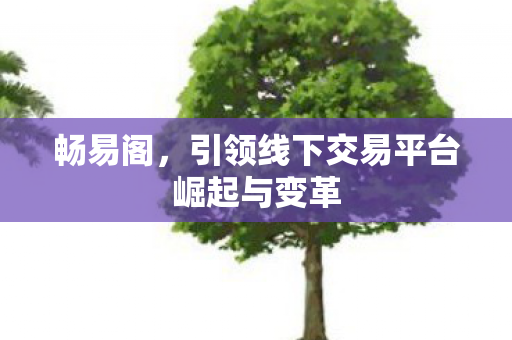 畅易阁，引领线下交易平台崛起与变革