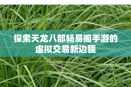 探索天龙八部畅易阁手游的虚拟交易新边疆