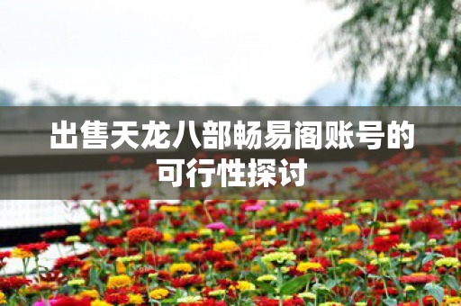 出售天龙八部畅易阁账号的可行性探讨