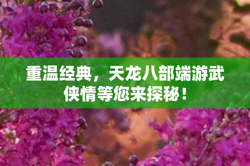 重温经典，天龙八部端游武侠情等您来探秘！