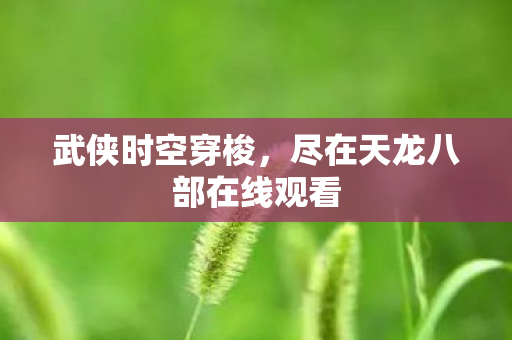 武侠时空穿梭，尽在天龙八部在线观看