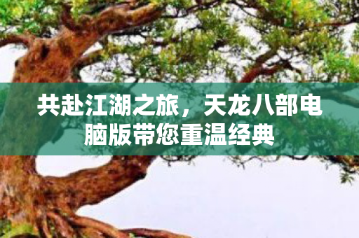 共赴江湖之旅，天龙八部电脑版带您重温经典