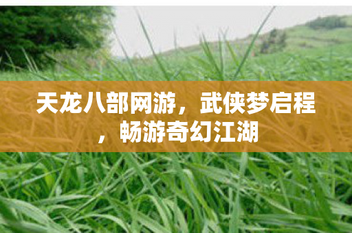 天龙八部网游，武侠梦启程，畅游奇幻江湖