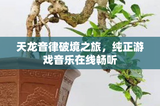 天龙音律破境之旅，纯正游戏音乐在线畅听