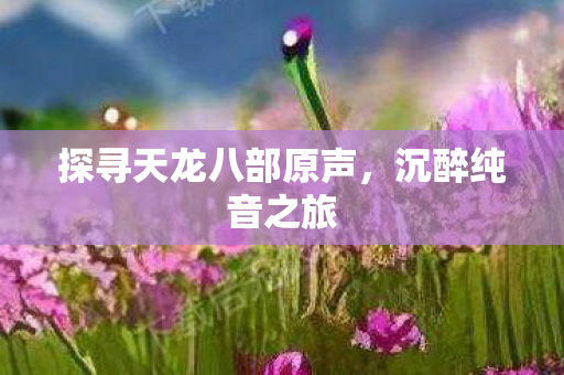 探寻天龙八部原声，沉醉纯音之旅