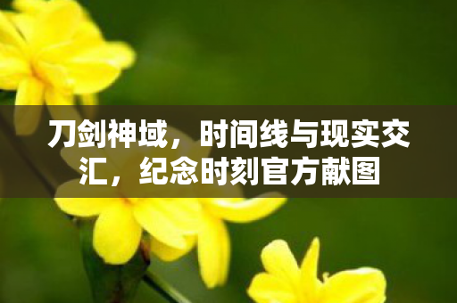 刀剑神域，时间线与现实交汇，纪念时刻官方献图