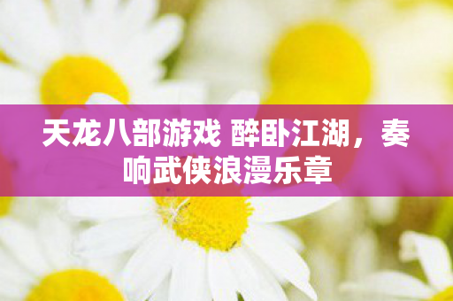 天龙八部游戏 醉卧江湖，奏响武侠浪漫乐章