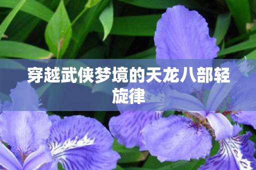 穿越武侠梦境的天龙八部轻旋律