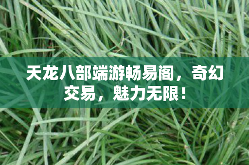 天龙八部端游畅易阁，奇幻交易，魅力无限！