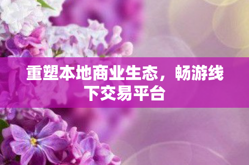 重塑本地商业生态，畅游线下交易平台