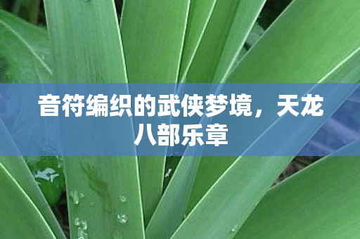 音符编织的武侠梦境，天龙八部乐章