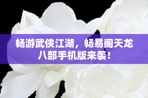 畅易阁天龙八部手机版来袭图片