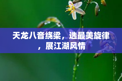 天龙八音绕梁图片