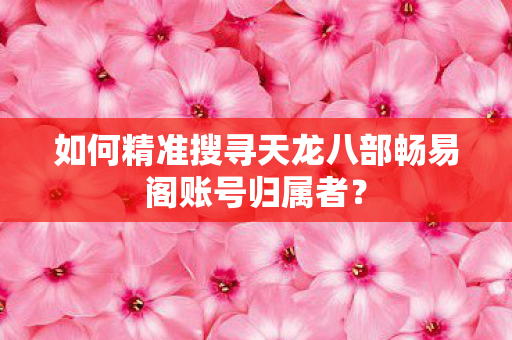如何精准搜寻天龙八部畅易阁账号归属者图片