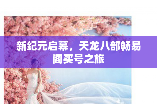 天龙八部畅易阁买号之旅图片