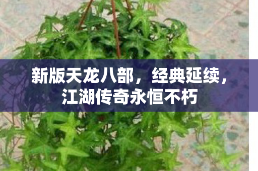 江湖传奇永恒不朽图片