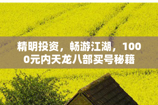 1000元内天龙八部买号秘籍图片
