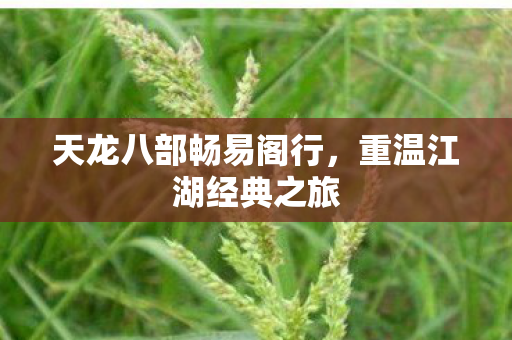 天龙八部畅易阁行图片