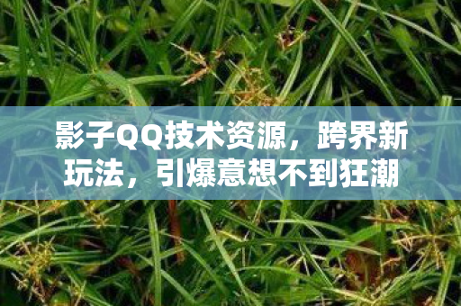 影子QQ技术资源,跨界新玩法,引爆意想不到狂潮 影子QQ技术资源,跨界新玩法,引爆意想不到狂潮
