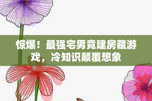 惊爆！最强宅男竟建房藏游戏，冷知识颠覆想象