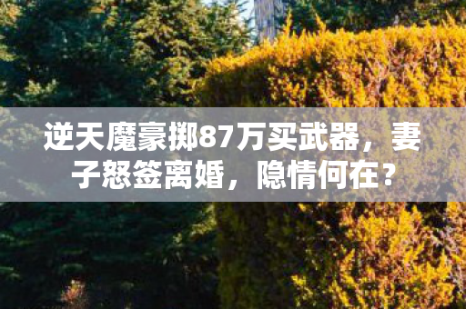 逆天魔豪掷87万买武器,妻子怒签离婚,隐情何在? 逆天魔豪掷87万买武器,妻子怒签离婚,隐情何在?