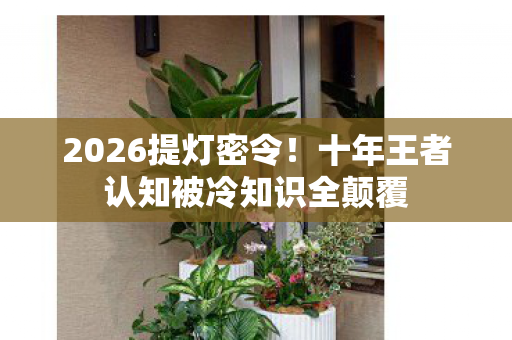2026提灯密令!十年王者认知被冷知识全颠覆 2026提灯密令!十年王者认知被冷知识全颠覆