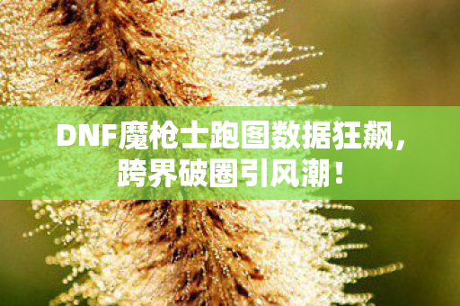 DNF魔枪士跑图数据狂飙,跨界破圈引风潮! DNF魔枪士跑图数据狂飙,跨界破圈引风潮!