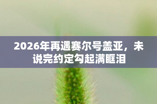 2026年再遇赛尔号盖亚，未说完约定勾起满眶泪
