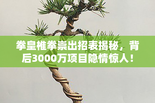 拳皇椎拳崇出招表揭秘，背后3000万项目隐情惊人！