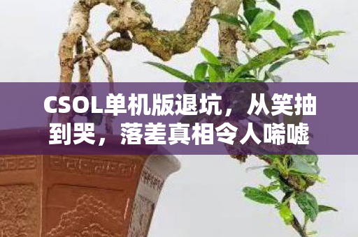 CSOL单机版退坑，从笑抽到哭，落差真相令人唏嘘