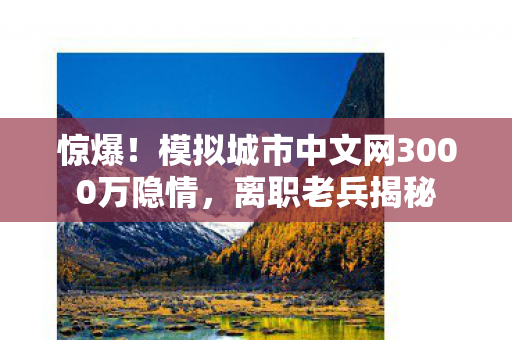 惊爆！模拟城市中文网3000万隐情，离职老兵揭秘