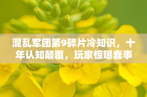 混乱军团第9碎片冷知识,十年认知颠覆,玩家惊曝蠢事 混乱军团第9碎片冷知识,十年认知颠覆,玩家惊曝蠢事