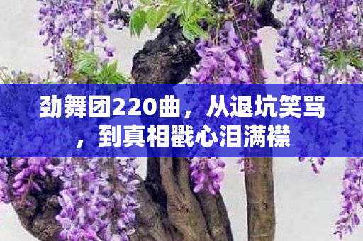 劲舞团220曲,从退坑笑骂,到真相戳心泪满襟 劲舞团220曲,从退坑笑骂,到真相戳心泪满襟