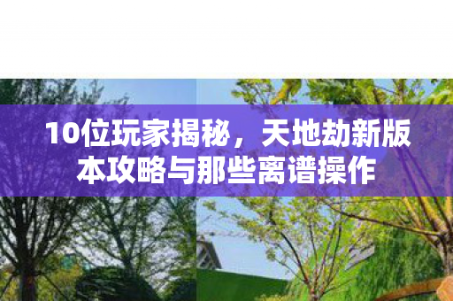10位玩家揭秘，天地劫新版本攻略与那些离谱操作