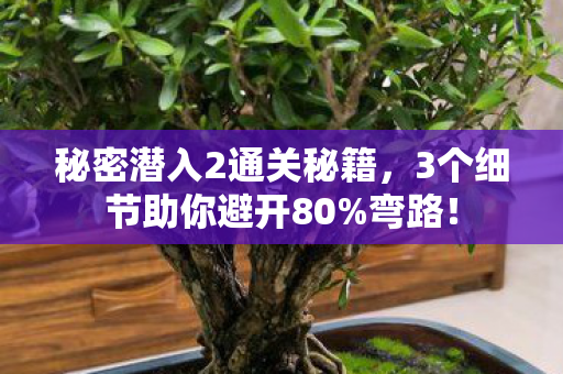 秘密潜入2通关秘籍,3个细节助你避开80%弯路! 秘密潜入2通关秘籍,3个细节助你避开80%弯路!