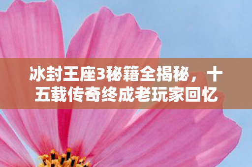 冰封王座3秘籍全揭秘，十五载传奇终成老玩家回忆