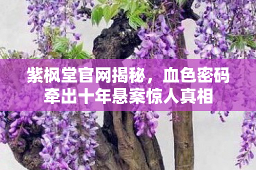 紫枫堂官网揭秘，血色密码牵出十年悬案惊人真相