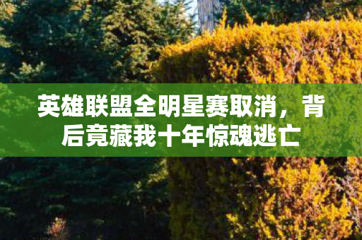英雄联盟全明星赛取消,背后竟藏我十年惊魂逃亡 英雄联盟全明星赛取消,背后竟藏我十年惊魂逃亡