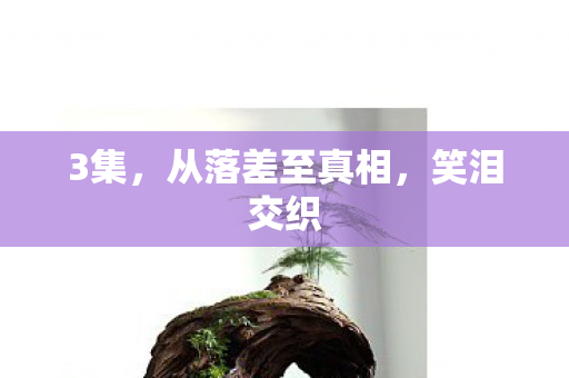 3集，从落差至真相，笑泪交织