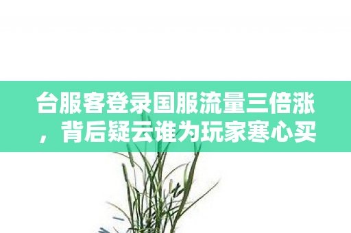 台服客登录国服流量三倍涨，背后疑云谁为玩家寒心买单？