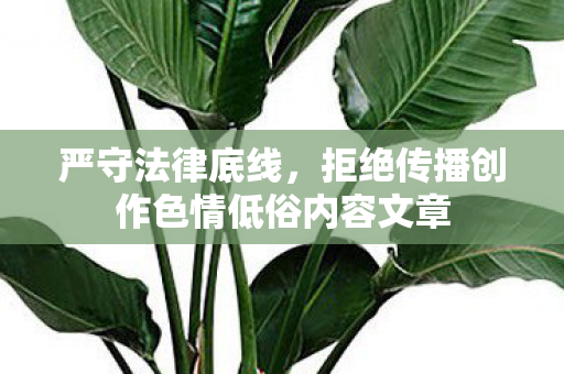 严守法律底线,拒绝传播创作色情低俗内容文章 严守法律底线,拒绝传播创作色情低俗内容文章