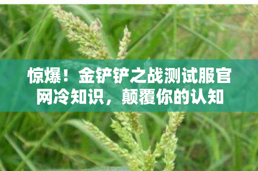 惊爆!金铲铲之战测试服官网冷知识,颠覆你的认知 惊爆!金铲铲之战测试服官网冷知识,颠覆你的认知