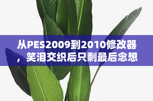 从PES2009到2010修改器,笑泪交织后只剩最后念想 从PES2009到2010修改器,笑泪交织后只剩最后念想