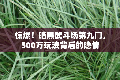 惊爆!暗黑武斗场第九门,500万玩法背后的隐情 惊爆!暗黑武斗场第九门,500万玩法背后的隐情